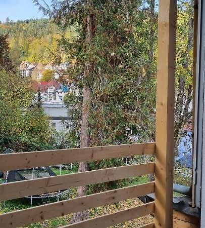 Sm3 Apartment Triberg im Schwarzwald Eksteriør bilde