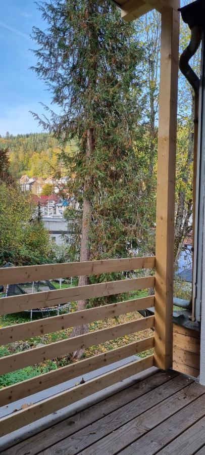 Sm3 Apartment Triberg im Schwarzwald Eksteriør bilde